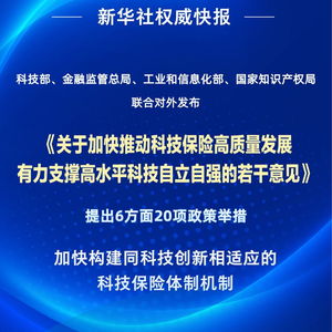四部門聯(lián)合發(fā)力，以二十項(xiàng)舉措推動(dòng)科技保險(xiǎn)高質(zhì)量發(fā)展——信息技術(shù)咨詢服務(wù)迎來新契機(jī)